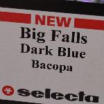Big Falls Bacopa 'Dark Blue'