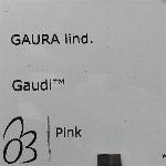 Gaudi Gaura 'Pink'