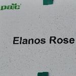 Elanos Geranium 'Rose'