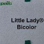 Little Lady Geranium 'Bicolor'
