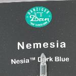 Nesia Nemesia 'Dark Blue'