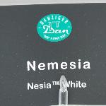 Nesia Nemesia 'White'