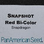 Snapshot Snapdragon 'Red Bicolor'